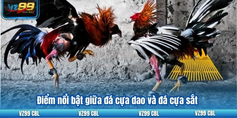 Đá Gà Cựa Dao Tại VZ99: Thiên Đường Cho Người Chơi Điểm nổi bật giữa đá cựa dao và đá cựa sắt