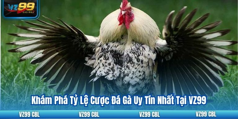 Khám Phá Tỷ Lệ Cược Đá Gà Uy Tín Nhất Tại VZ99 Khám Phá Tỷ Lệ Cược Đá Gà Uy Tín Nhất Tại VZ99